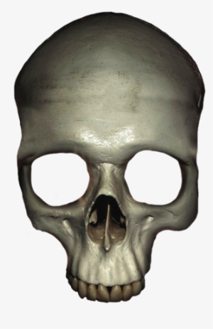 Head Skull With Crown - Head