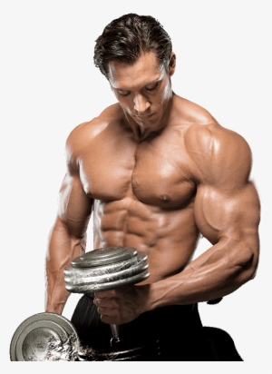 Body Fitness Png Image Royalty Free Stock - Bodybuilding