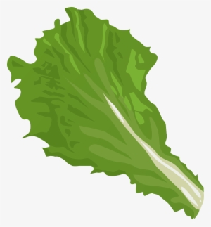 Leaf Icons Png Free And Downloads This - Clipart Lettuce Leaf