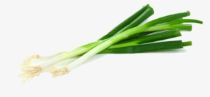 Green Onion Transparent Png - Green Onion No Background