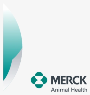 Privacy - Disclaimer - Msd Animal Health Logo