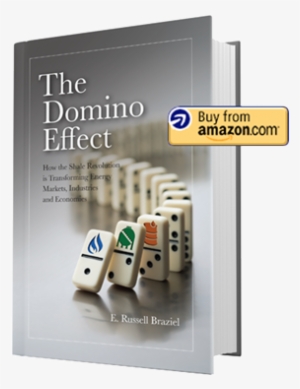The Domino Effect - Domino Effect Book