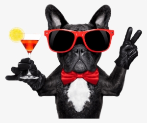 Ultimate Happy Hour - French Bulldog Party