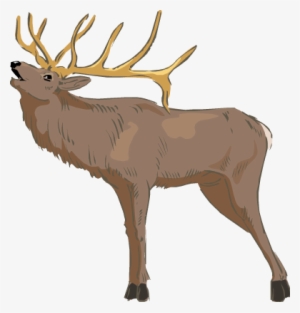 Deer, Moose, Elk And Caribou - Transparent Elk