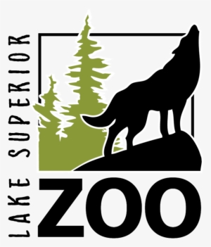 Register For Animal Care Camp - Duluth Lake Superior Zoo
