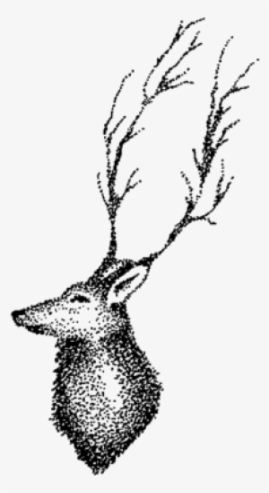 Deer - Sketch