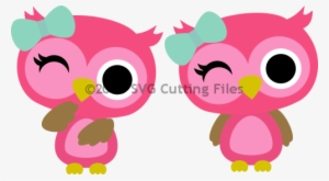 Girl Owl Png Image Free Download - Girl Owl Svg