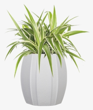 Capi Lux Arc Indoor