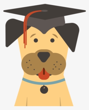 Learn More Boarding Or Playcare Rates Not Included - Mortarboard
