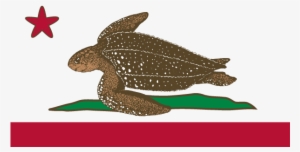 California Turtle Flag With Starfish - Turtle Island Flag
