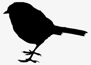 Free Png Bird Silhouette Png Images Transparent - Portable Network Graphics