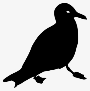 Seagull, Crow, Animal, Bird, Silhouette, Black - Racek Silueta