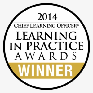 Clo Award Blackgold Winner - Chief Learning Officer Learning In Practice