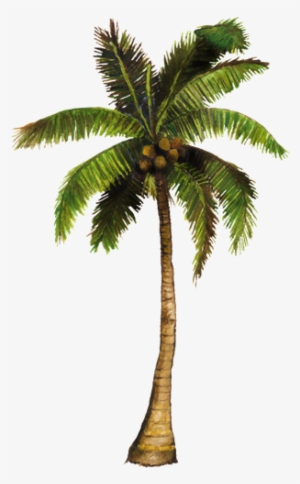 Vecinos Verdes - Coconut Tree Animated Gif