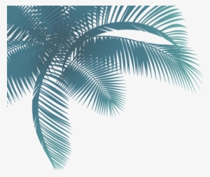 Palmera Png - Palm Trees