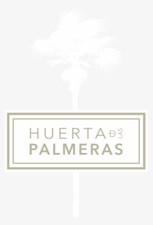 Un Lugar Privilegiado - Sabal Palmetto