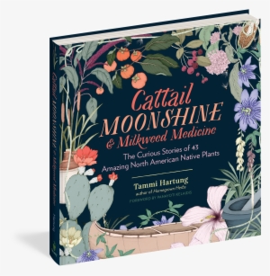 Cattail Moonshine & Milkweed Medicine - Cattail Moonshine And Milkweed Medicine