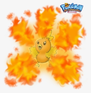 #255 Torchic Used Flame Burst And Ember In Our Pokemon - Pokemon Black
