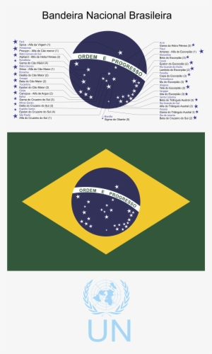 Bandeirado Brasil2 Logo Png Transparent - World Cup Champion Brazil