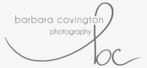 Barbara B Covington Photography Georgia Based Modern - B Logo Photography Transparent
