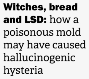Witches, Bread And Lsd - Texto