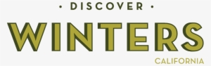 Discover Winters Logo - Discover Card