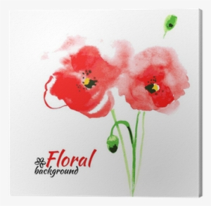 Beautiful Watercolor Paint Red Poppy