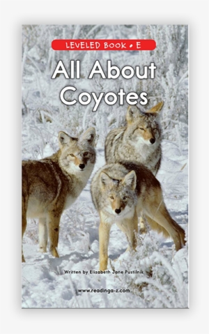 New Reading A Z And Raz Plus Leveled Books - Coyote