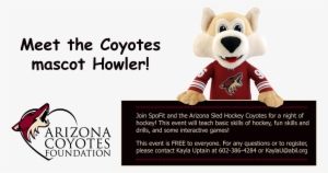 Join Spofit And The Arizona Sled Hockey Coyotes For - Phoenix Coyotes