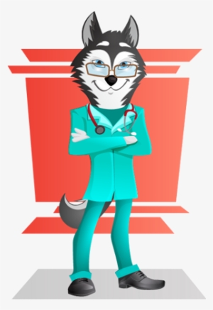 Husky Dog Doctor Vector Character - Husky Doctor