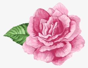 Flores Rosa Cor De Rosa 3 Png - Rosa Cor De Rosa Png