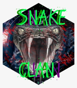 Snake Fangs Venom Poison Wallpaper - Viper Snake Head