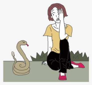 Venomous Snake - Snakes