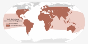 Map Showing The Approximate World Distribution Of Snakes - Snakes Found In The World