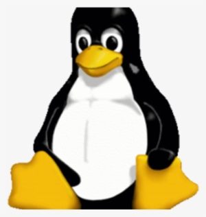 Ben Skev - Linux Penguin Vector