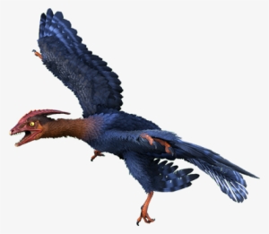 That's A Cute Little Birdierko Outta Nowhere - Dino Dan Microraptor