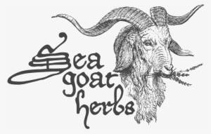 Picture Freeuse Download Sea Goat Herbs - Sea Goat