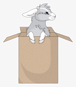 Goat In A Box