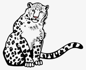 Black And White Stock Collection Of Drawing Outline - Snow Leopard Vector Png