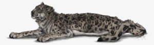 Full Image Of The Snow Leppy Decor By Rixon - Snow Leopard Png