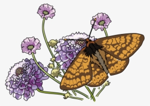 Free Butterfly Clip Art - Custom Monarch Butterfly And Flowers Mugs