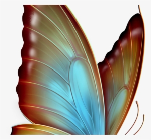 Schmetterling Butterflies In Memory Of Sissy Pinterest - Transparent Background Butterfly Png