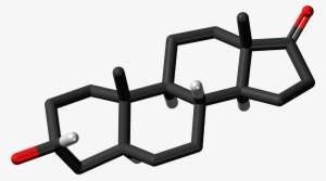 Androsterone 3d Skeletal Sticks - Steroid