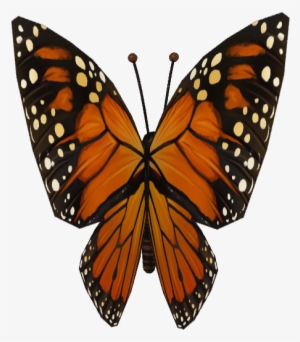 10 Pm 25865 Butterfly Png Sequence 00002 9/25/2014 - Small Tortoiseshell
