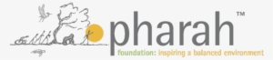 About Pharah - Foundation