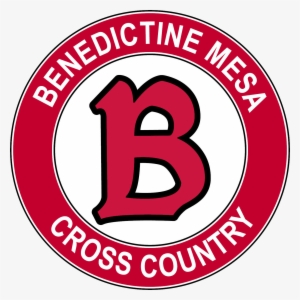 Benedictine University At Mesa Men's Soccer