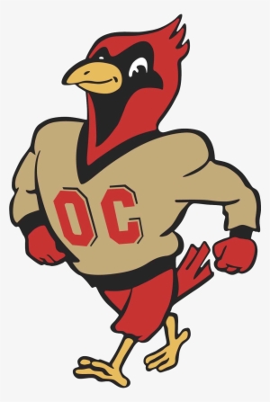 Cardinals, Otterbein University Div Iii, Ohio Athletic - Otterbein Cardinals