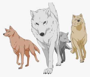 Wolf Pack Png Picture - Wolfsrain Wolves