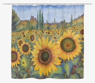 Sunflower Fields - Sunflower