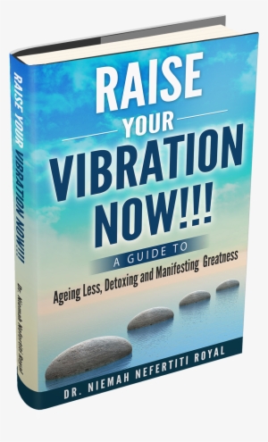 Raise Your Vibration 3d Book Dr